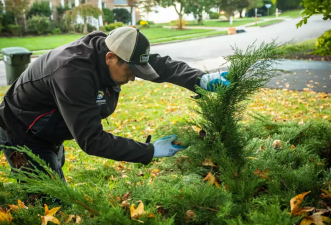 Do You Really Need Professional Landscaping Services?